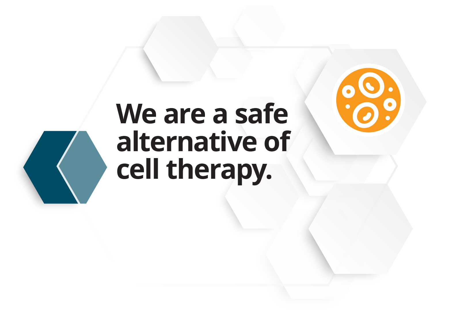 We are a safe alternate of cell therapy